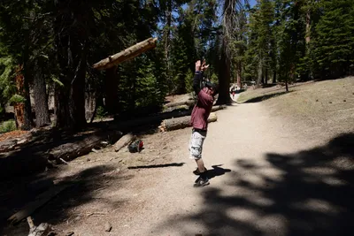 DSC_3754 (Large).JPG